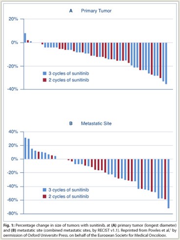 Fig. 1: Percentage change in size of tumors with sunitinib