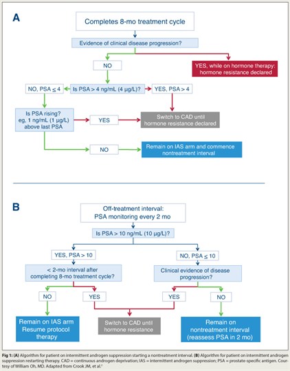 Fig 1: (A) Algorithm for patient on intermittent androgen suppression starting a nontreatment interval.