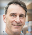 Doug Grossman, MD, PhD