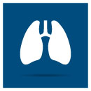 Immune-Related Adverse Events and Survival Outcomes in NSCLC