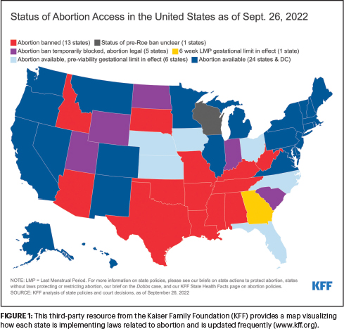 Pregnancy with an IUD is possible, and Roe overturn could make it more  dangerous.